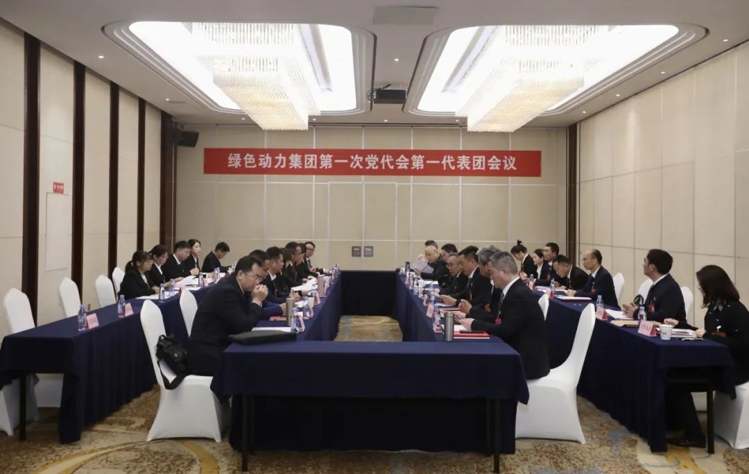 铭刻使命再出发，，，代表热议“两委”报告