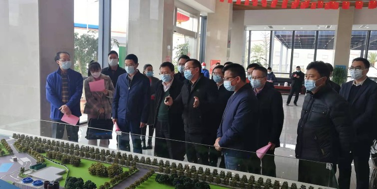 广东省住建厅党组书记赵坤调研菠菜担保网四会公司